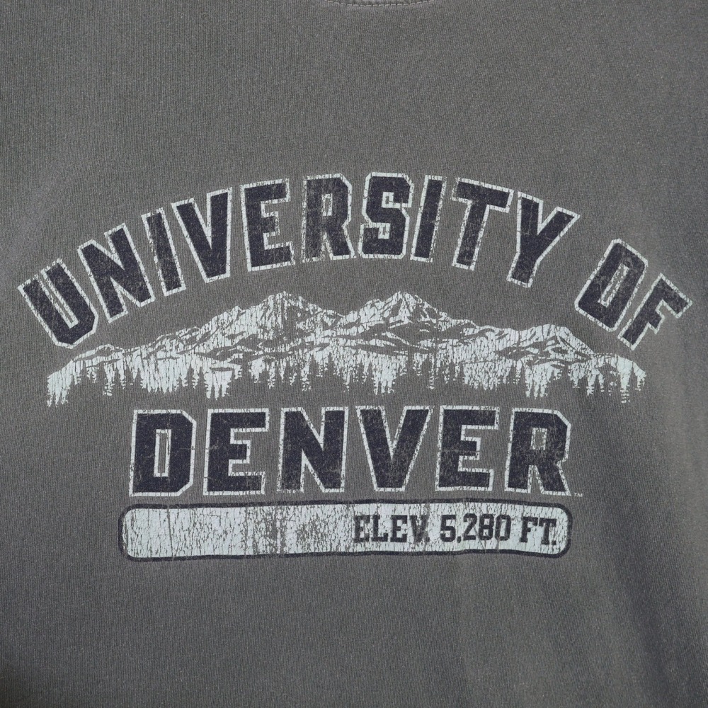 Vintage Champion University of Denver Graphic T-Shirt XL Faded Teal Cotton - Picture 2 of 11